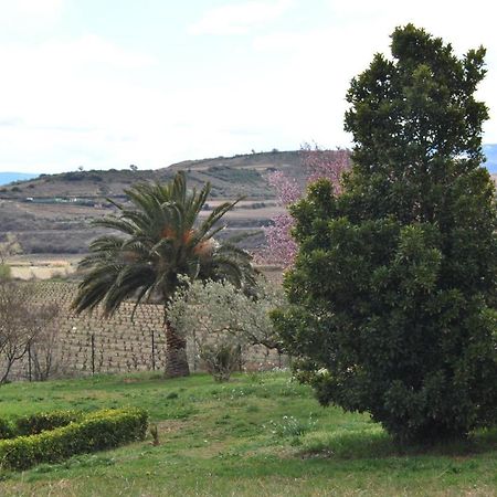La puebla de LabarcaCasa Pichon Etxea别墅 外观 照片