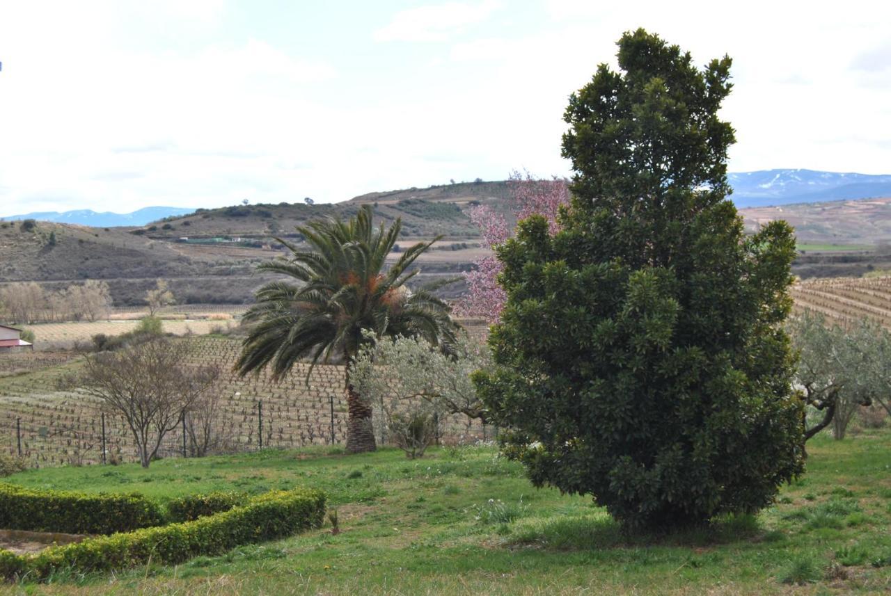 La puebla de LabarcaCasa Pichon Etxea别墅 外观 照片